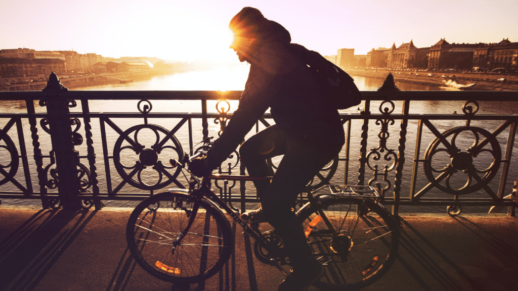 Before finding your bike size, pick the type of bike that best suits your needs