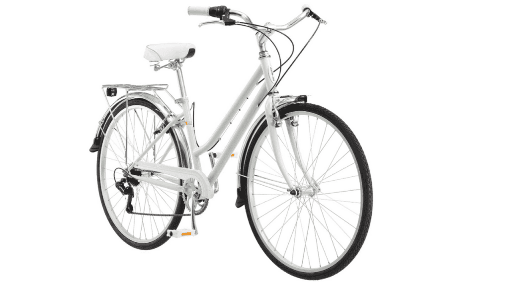 Best Vintage Style Bike