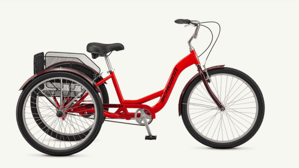 Best Bikes for Seniors with Balance Problems