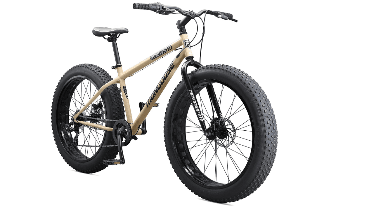 Best Bikes For PlusSize Women & Overweightfemale In 2023 Cycle Simply