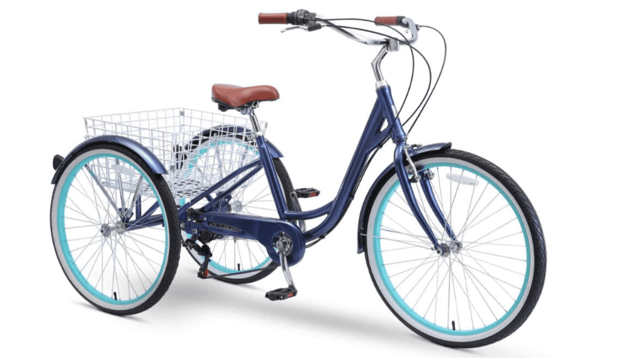 bicycles for plus size adults